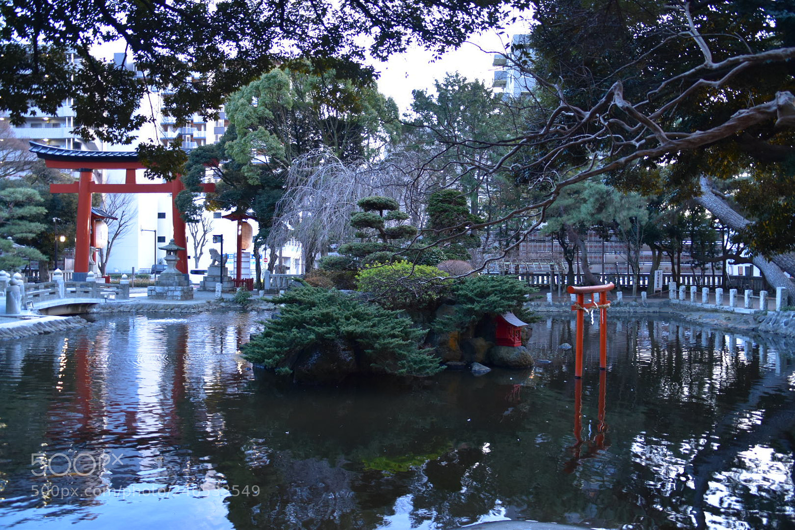 Nikon D5600 sample photo. Shinto shrine photography