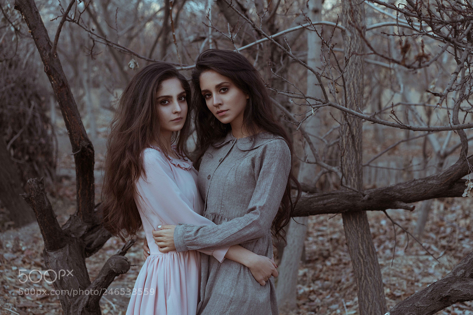 Sony a7R II sample photo. Sisters photography