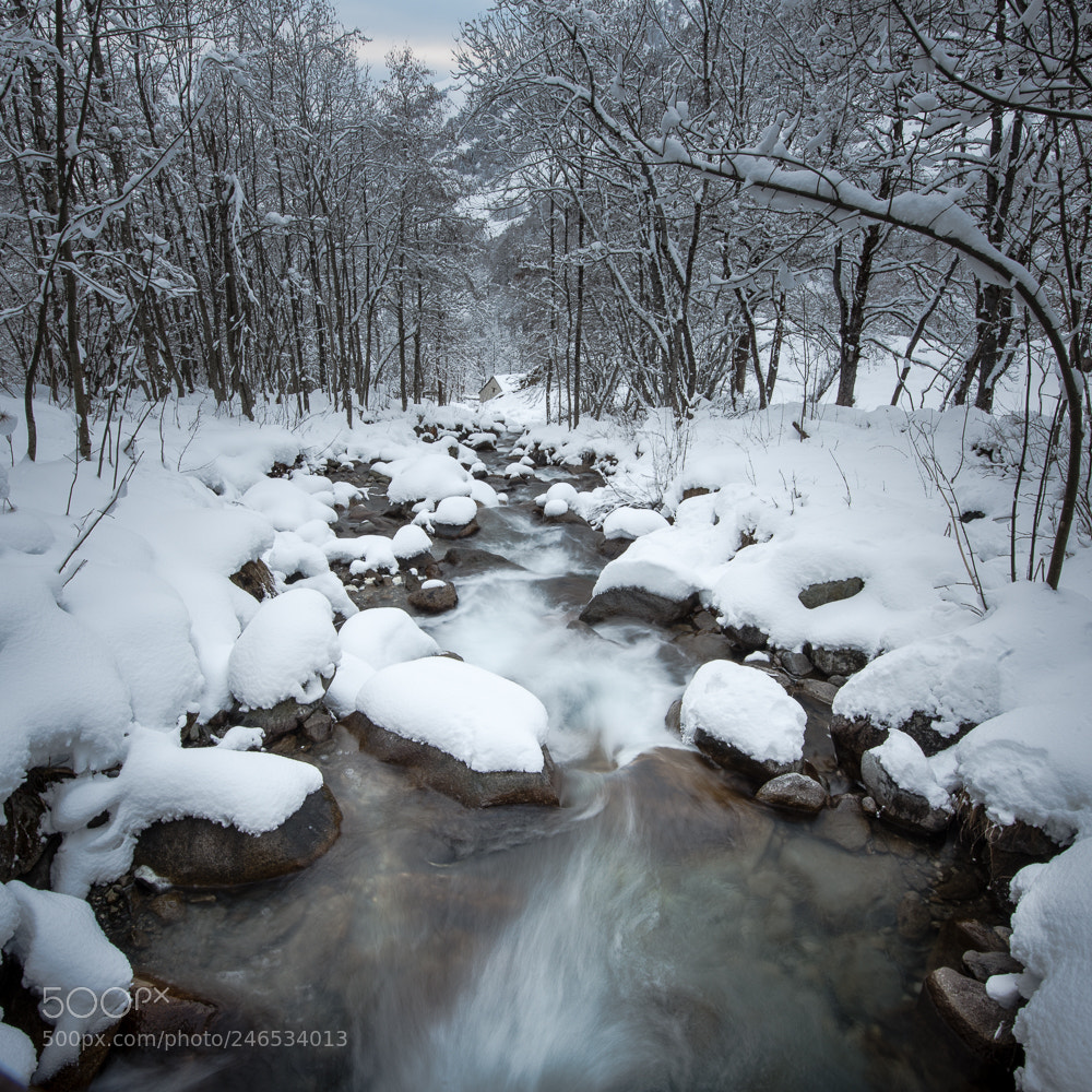 Nikon D800 sample photo. Snow2 photography