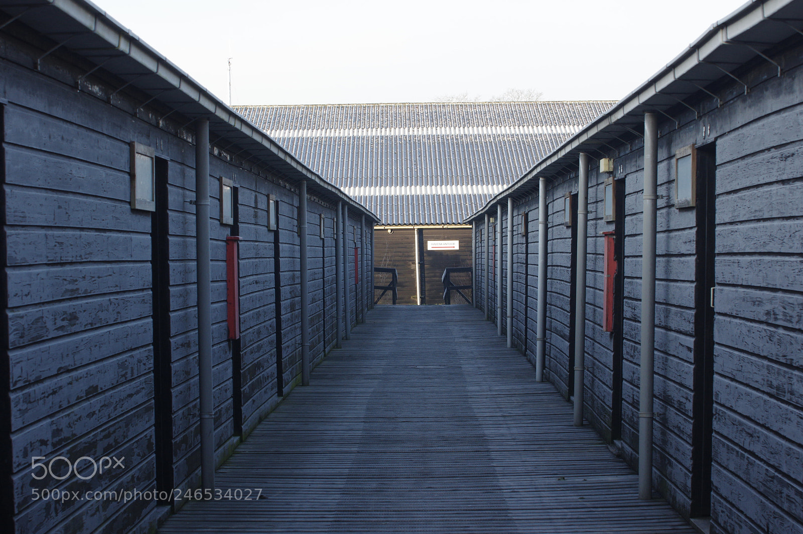 Pentax K-3 II sample photo. Untitled photography