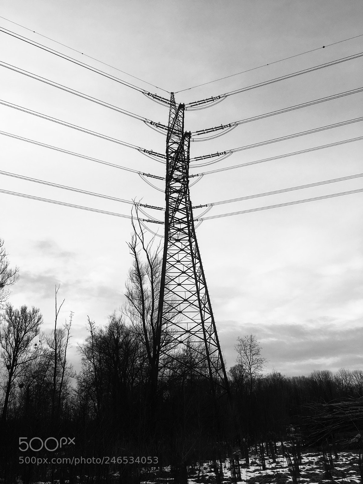 Apple iPhone SE sample photo. Untitled photography