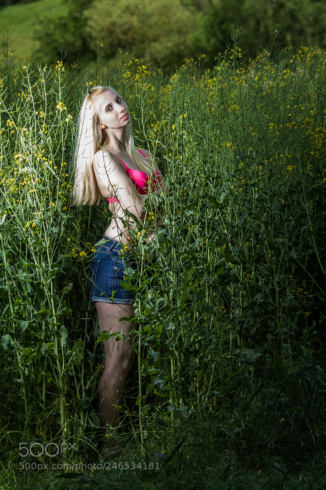 Canon EOS 60D sample photo. Img photography