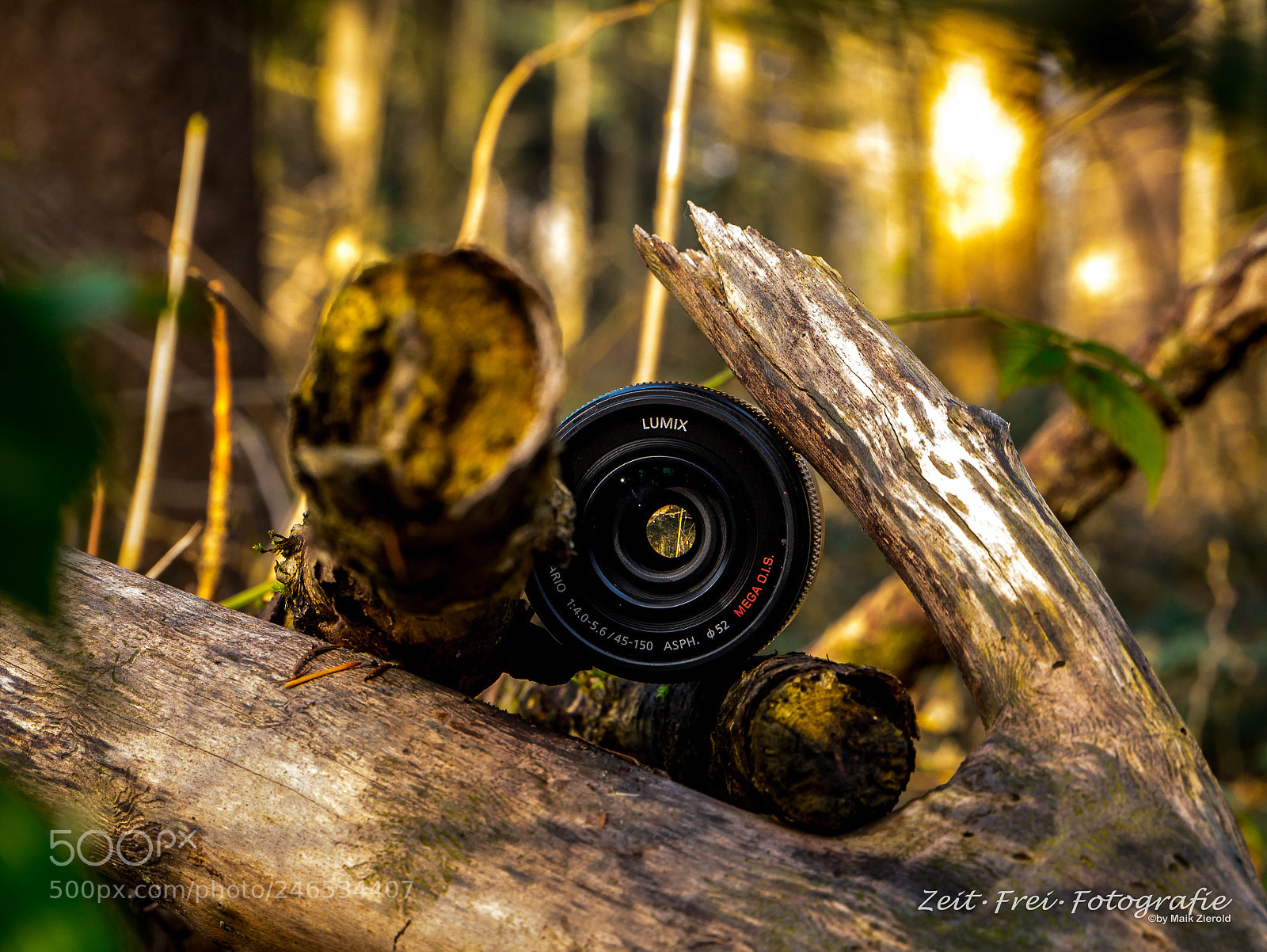 Panasonic DMC-G81 sample photo. Lense in branches photography
