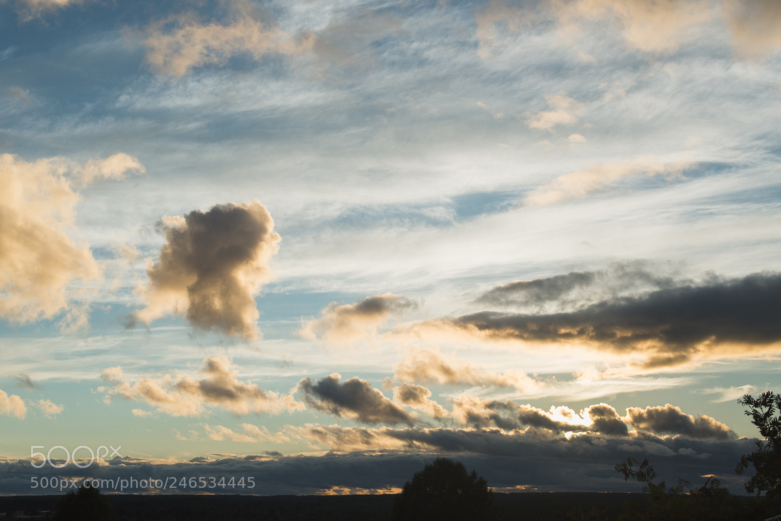 Nikon D600 sample photo. Clouds at sunset photography