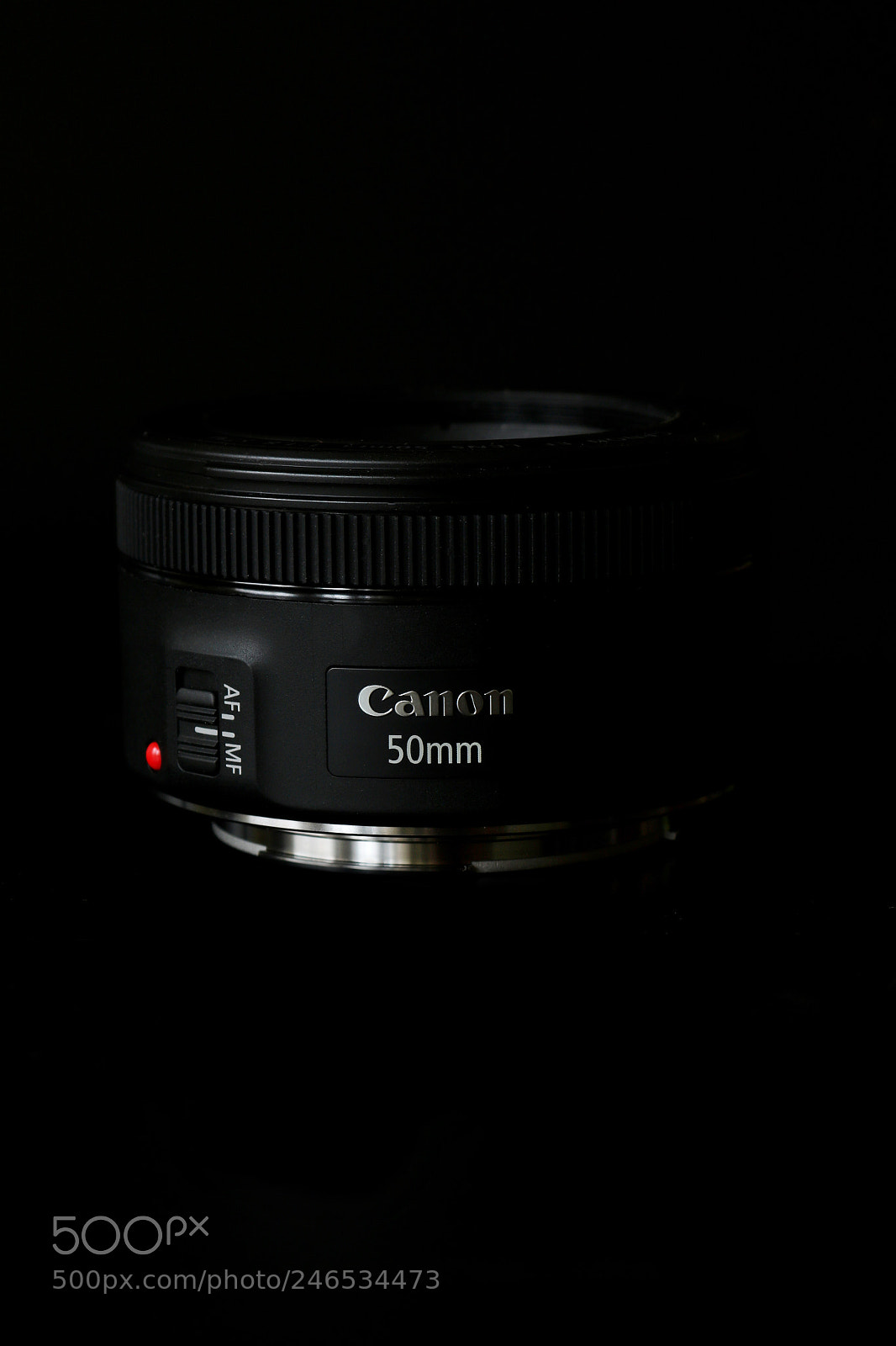 Canon EOS 750D (EOS Rebel T6i / EOS Kiss X8i) sample photo. Plastic-fantastic. photography