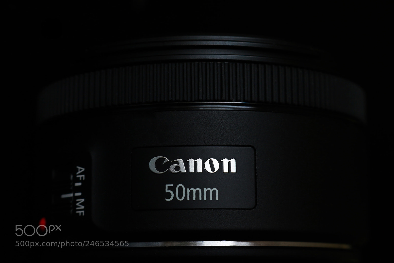 Canon EOS 750D (EOS Rebel T6i / EOS Kiss X8i) sample photo. Nifty-fifty. photography