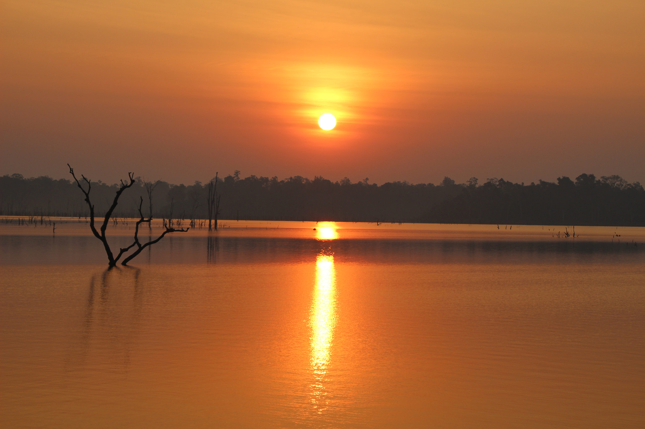 Canon EOS 100D (EOS Rebel SL1 / EOS Kiss X7) + Canon TS-E 90mm F2.8 Tilt-Shift sample photo. Sunrise photography