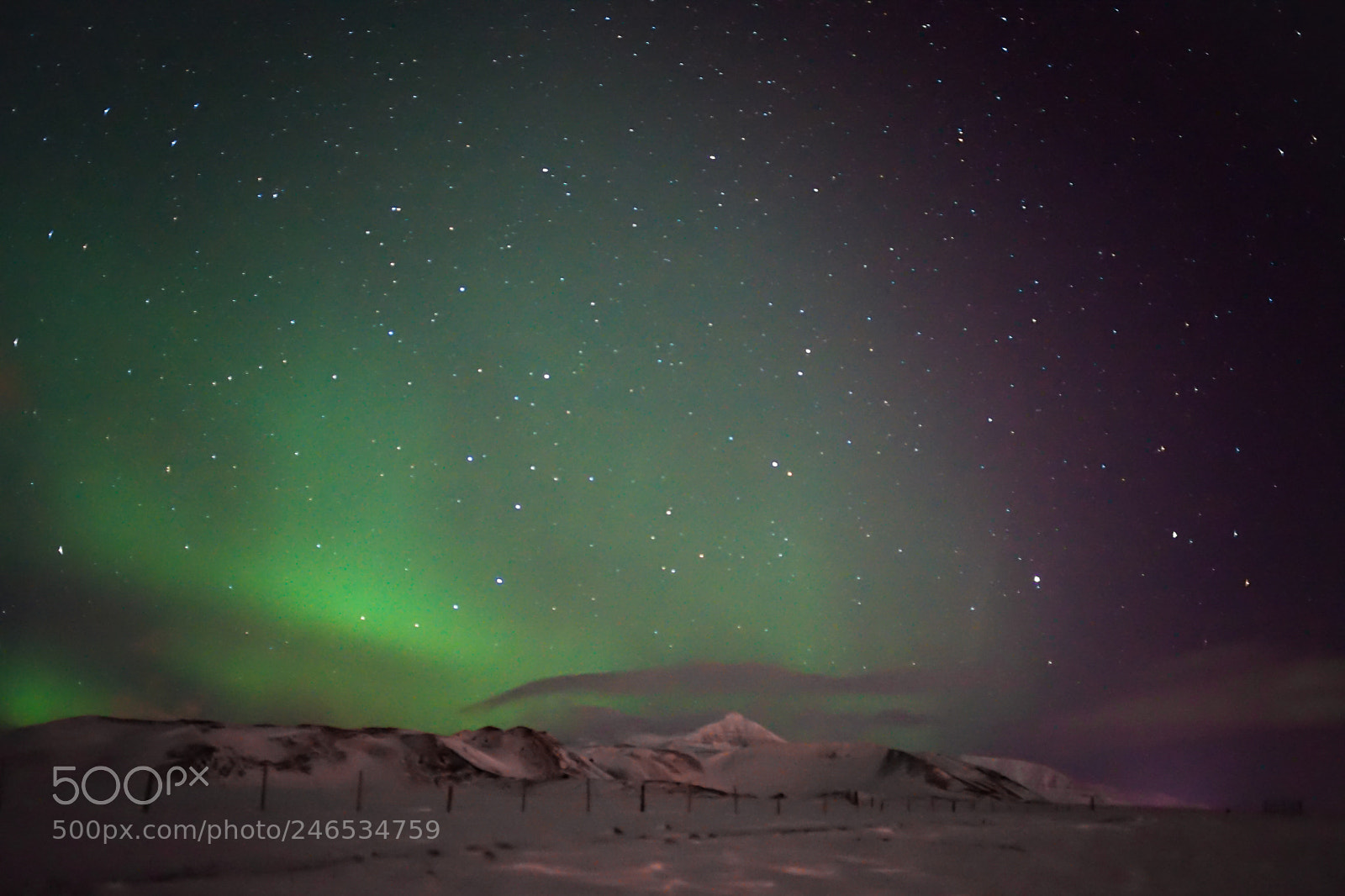 Sony a7 II sample photo. Aurora borealis photography