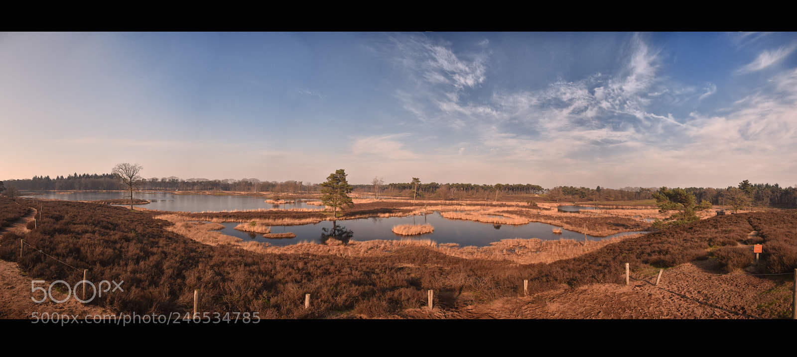 Nikon D7200 sample photo. Overasselt en hatertse vennen 2018 photography