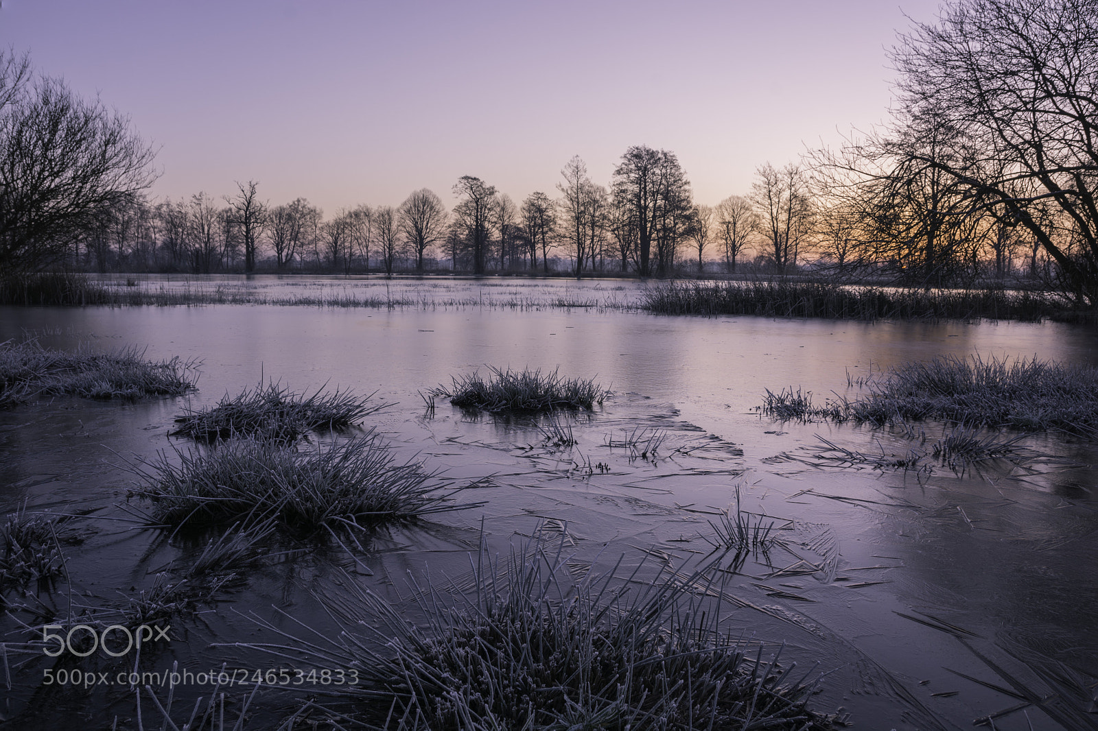 Nikon D7100 sample photo. Wintertime photography