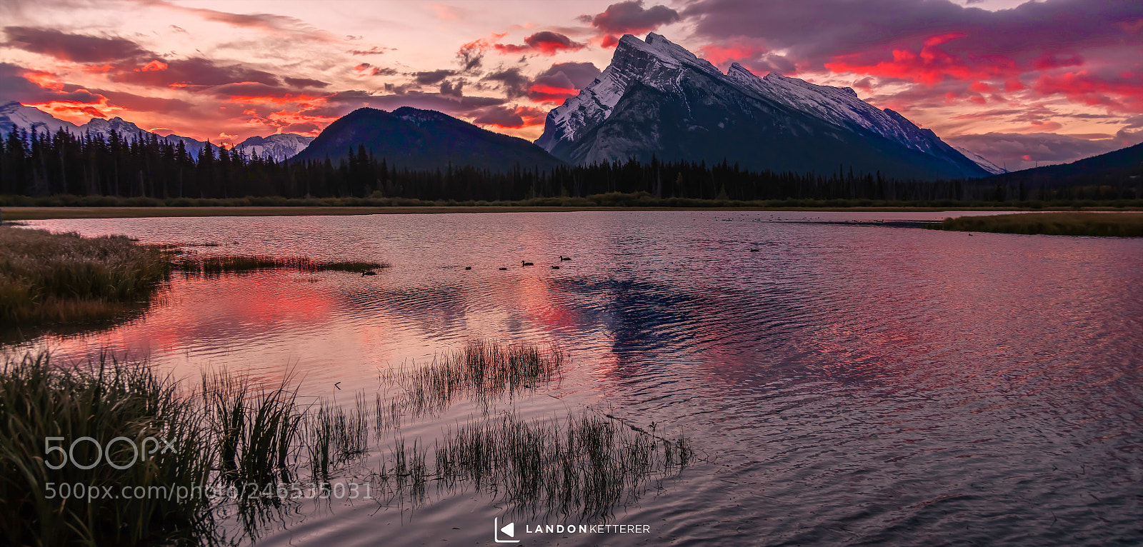 Canon EOS 5DS sample photo. Good morning banff photography