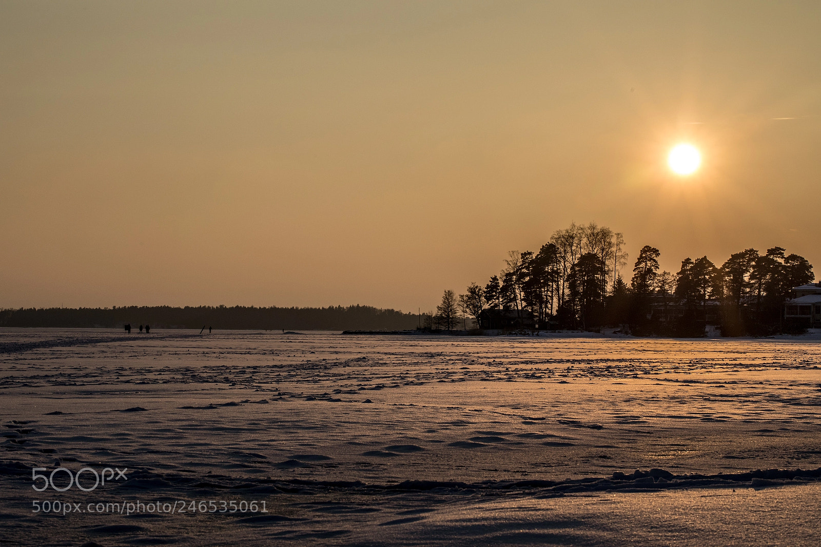 Canon EOS 5D Mark IV sample photo. Arctic sunset iv photography