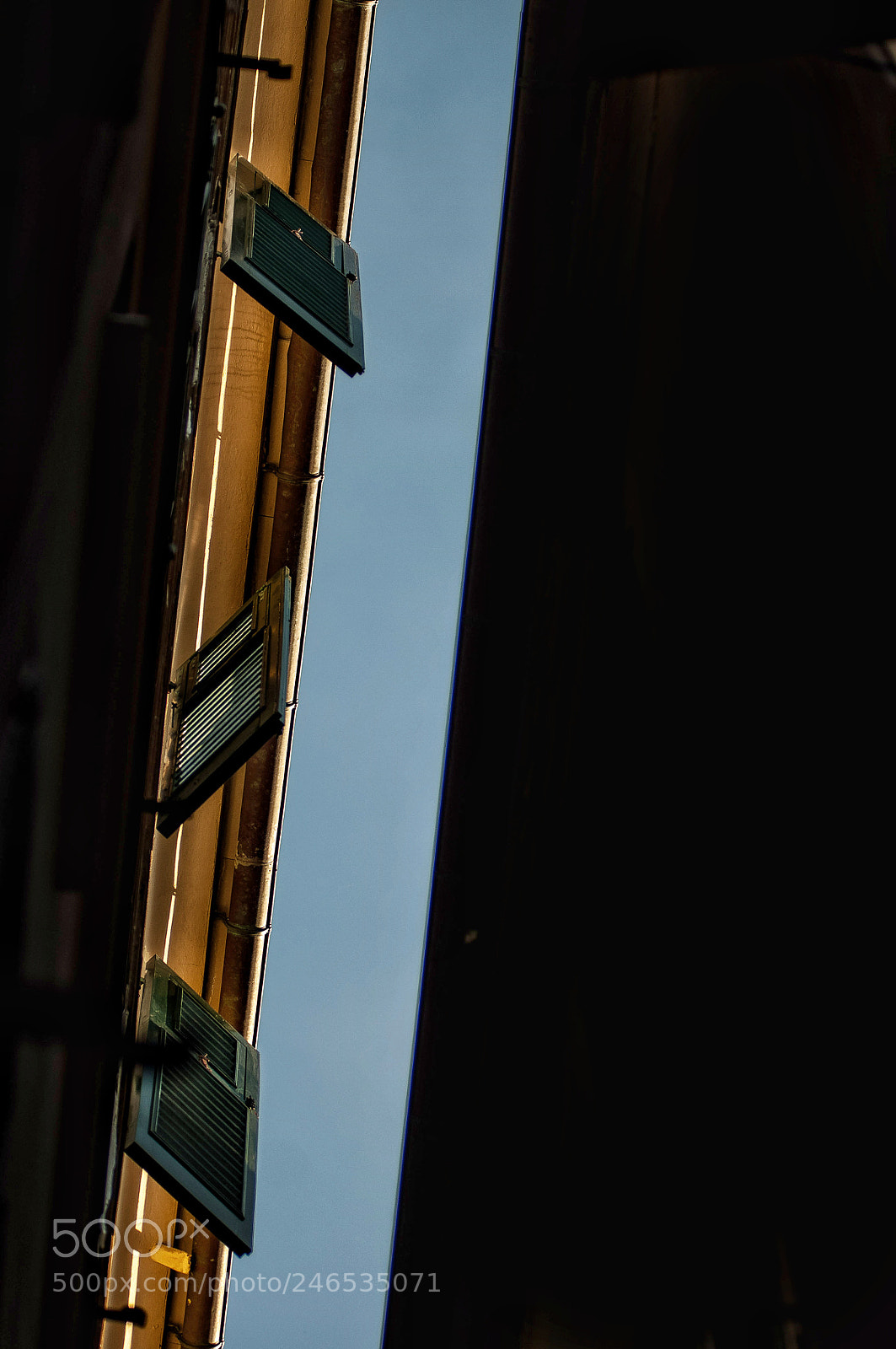 Nikon D300 sample photo. Untitled photography