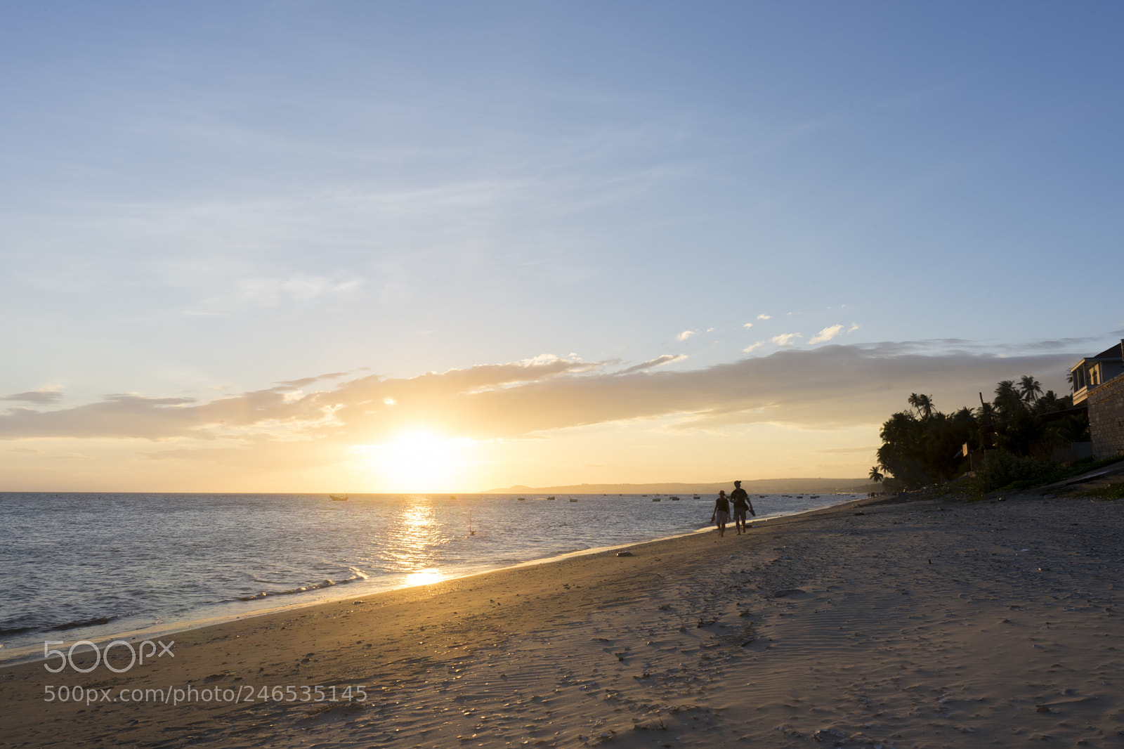 Sony a7 II sample photo. Muine photography