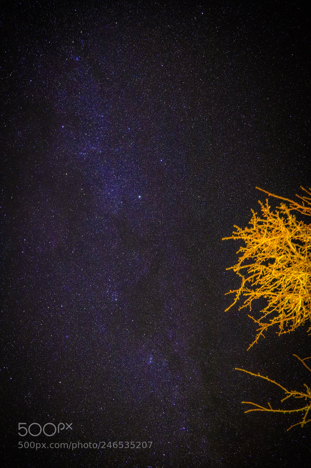 Canon EOS 6D Mark II sample photo. Una noche con estrellas photography