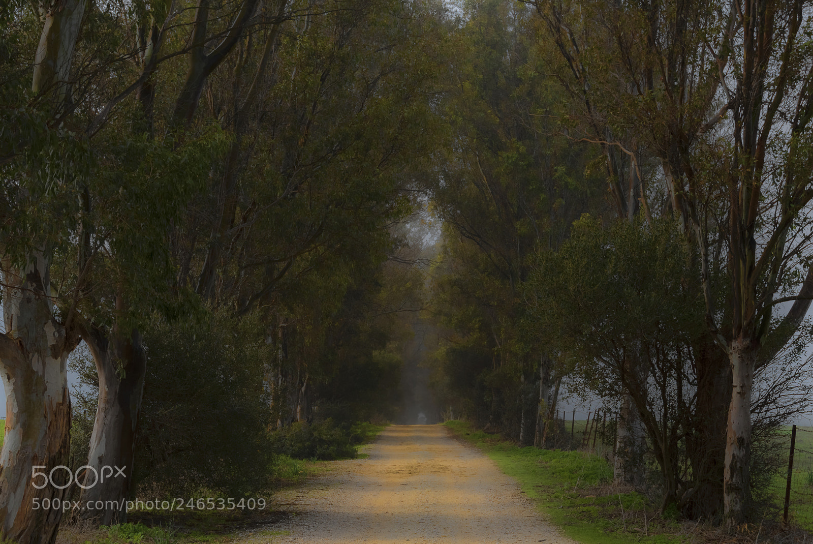 Nikon D810 sample photo. Camino photography