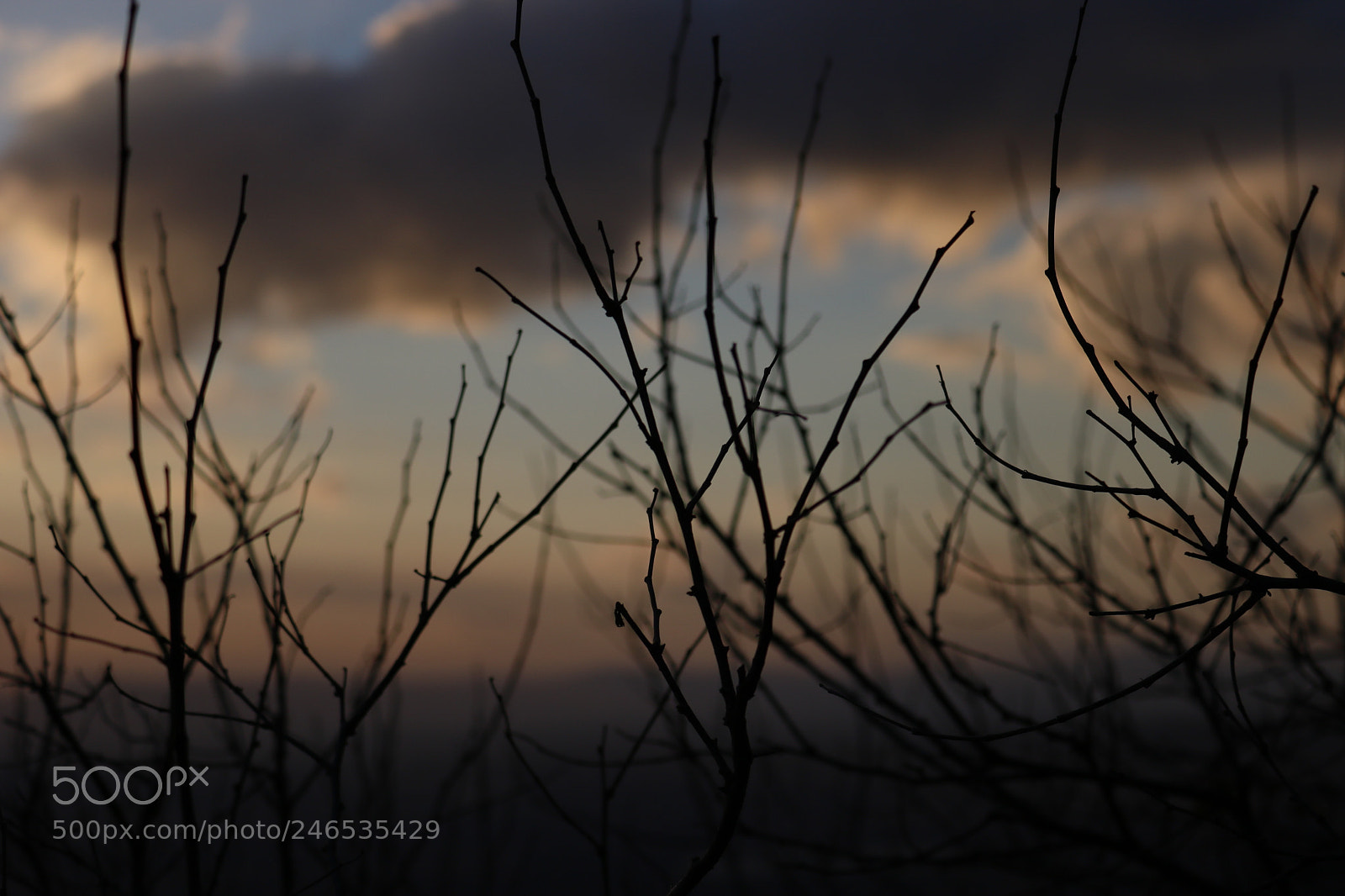 Canon EOS 750D (EOS Rebel T6i / EOS Kiss X8i) sample photo. Perfect morning photography