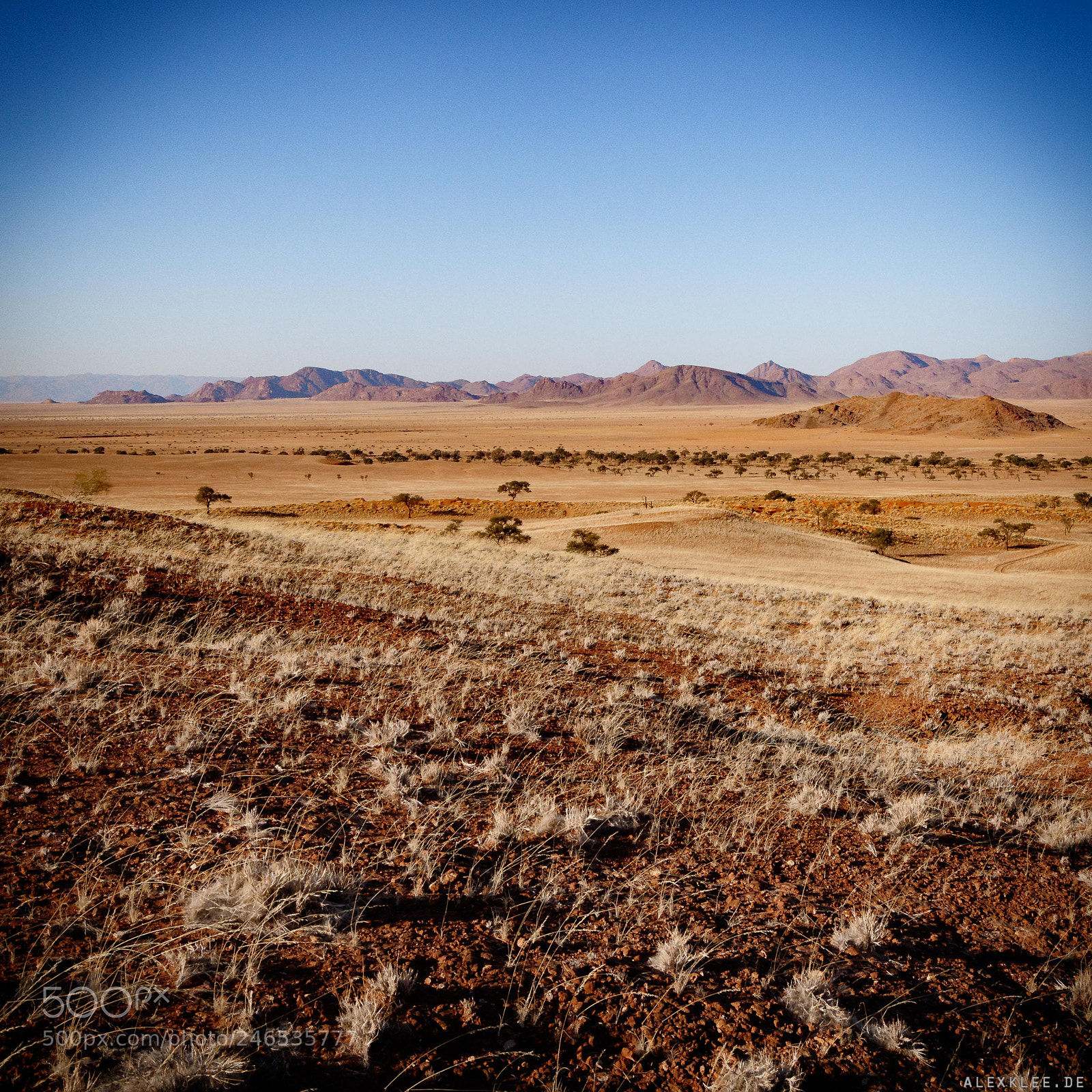 Canon EOS 7D Mark II sample photo. The namibian landscape photography