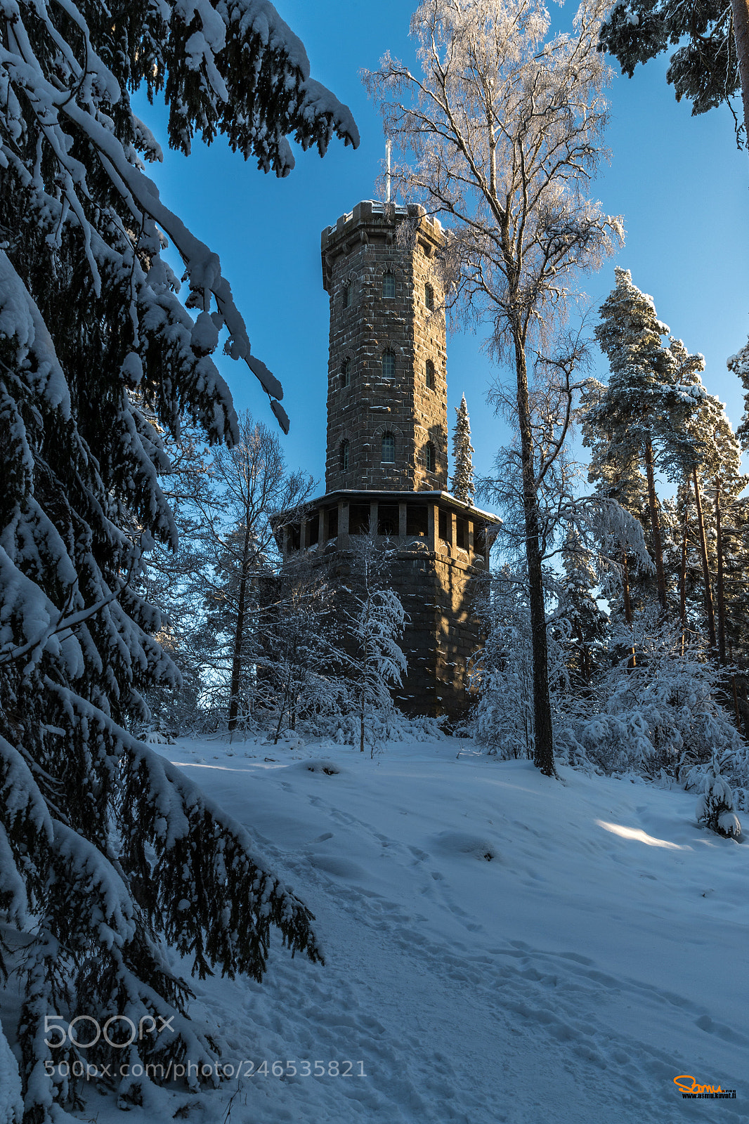 Canon EOS-1D X Mark II sample photo. Aulanko tower in winter photography
