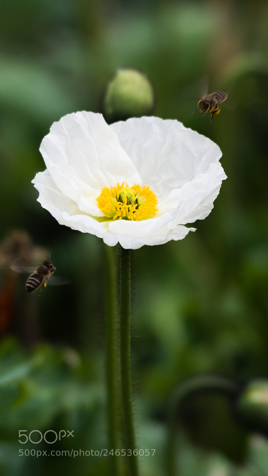 Nikon D810 sample photo. 劳动者 photography
