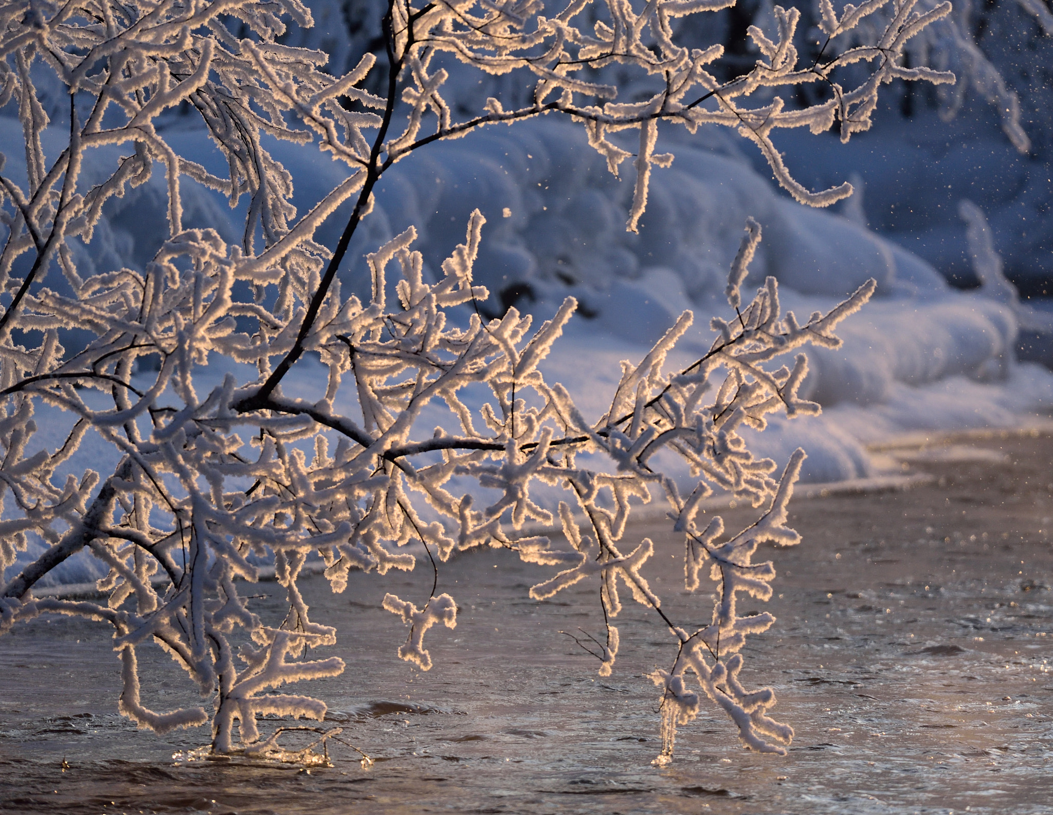 Sigma 150-600mm F5-6.3 DG OS HSM | S sample photo. Cold river photography