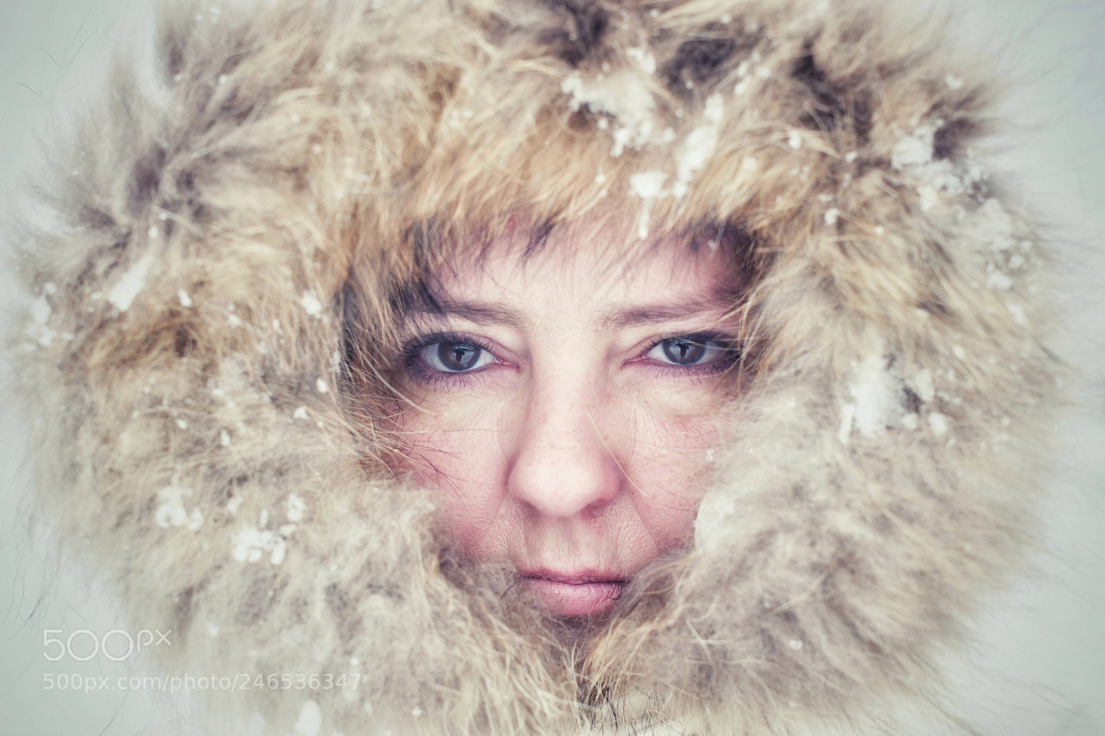 Nikon D500 sample photo. Ilka photography