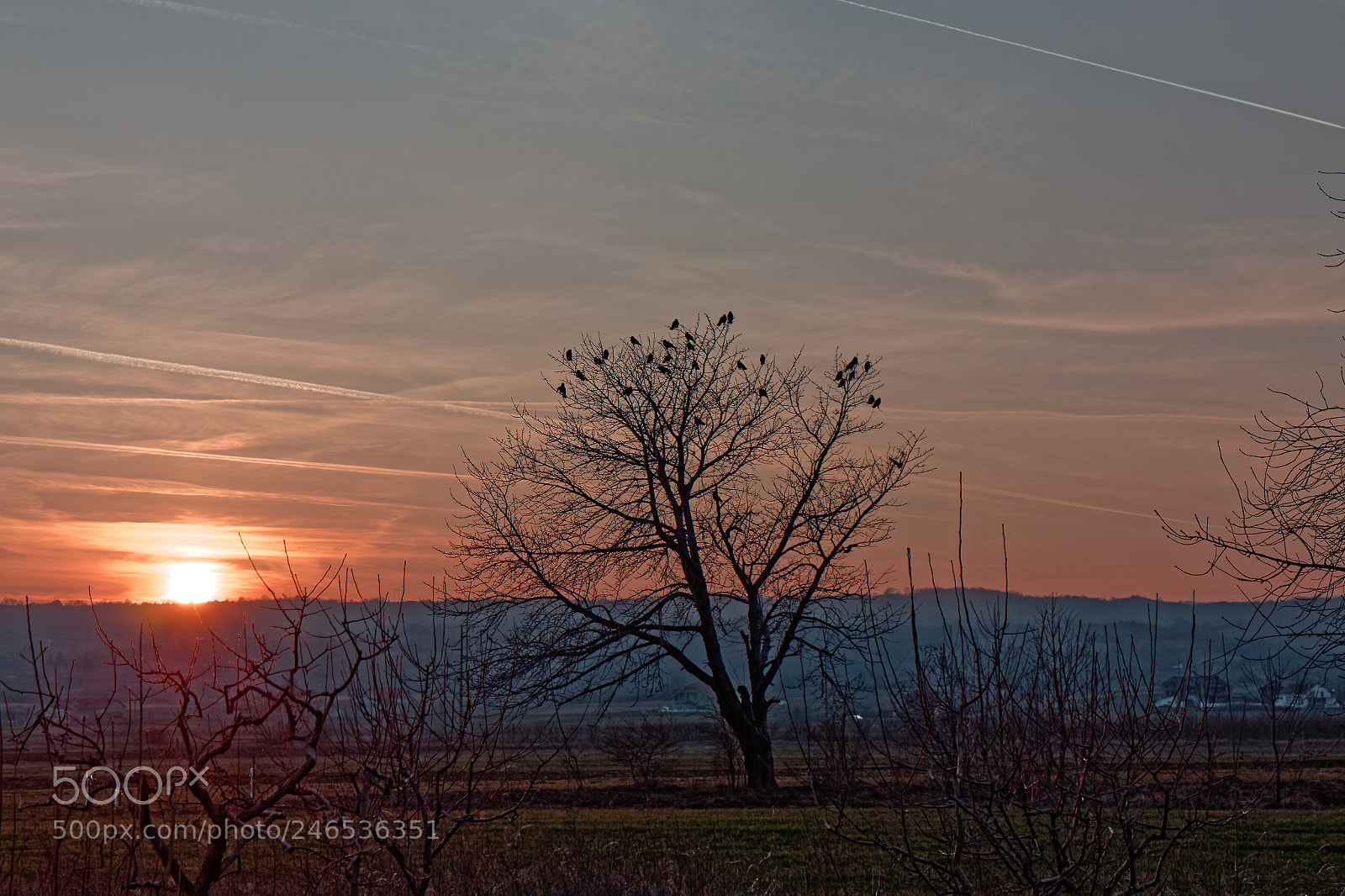 Canon EOS M sample photo. Sunset photography