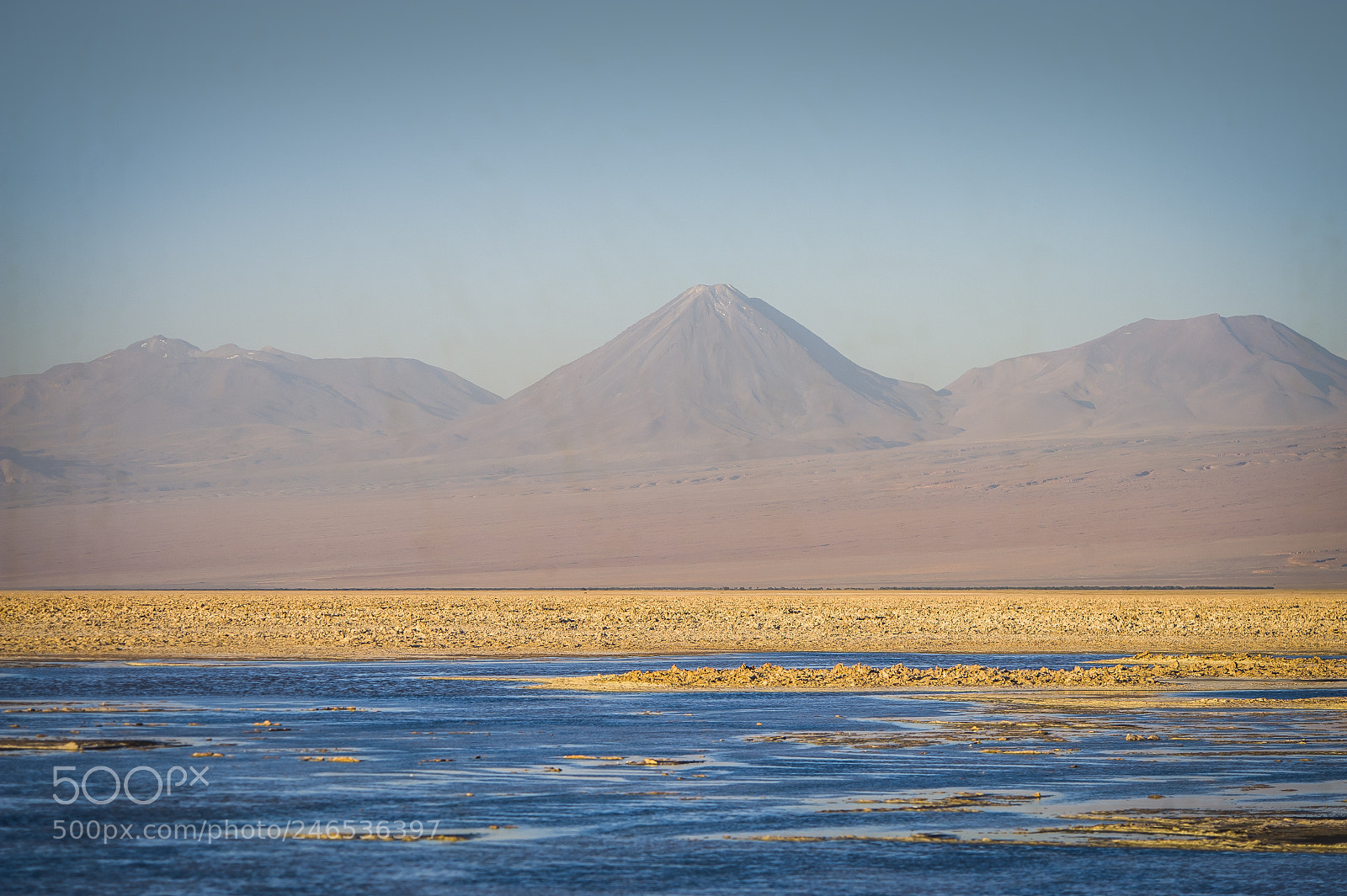 Nikon D3 sample photo. Laguna chaxa photography