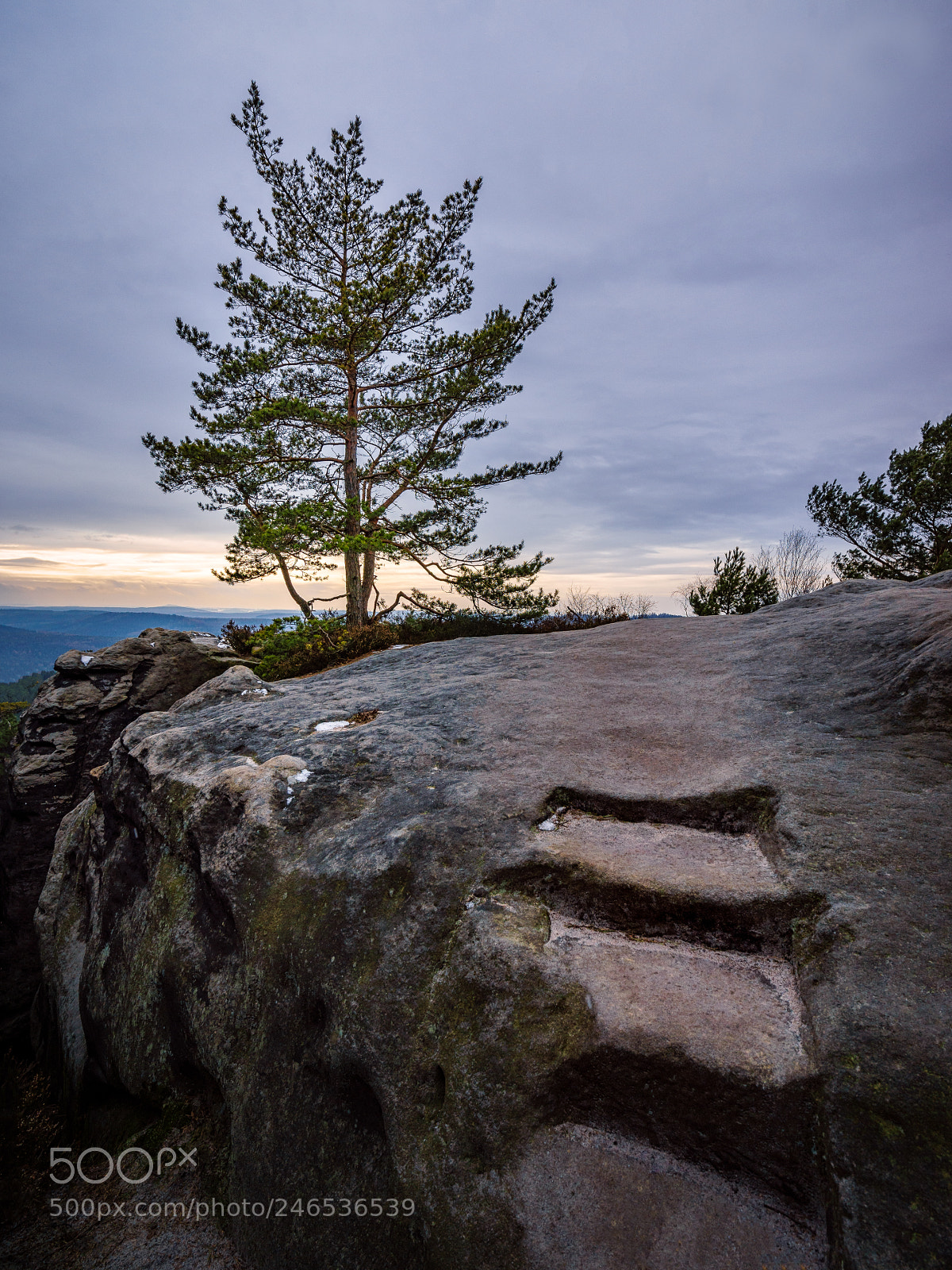 Sony a7 sample photo. Path to tranquility photography