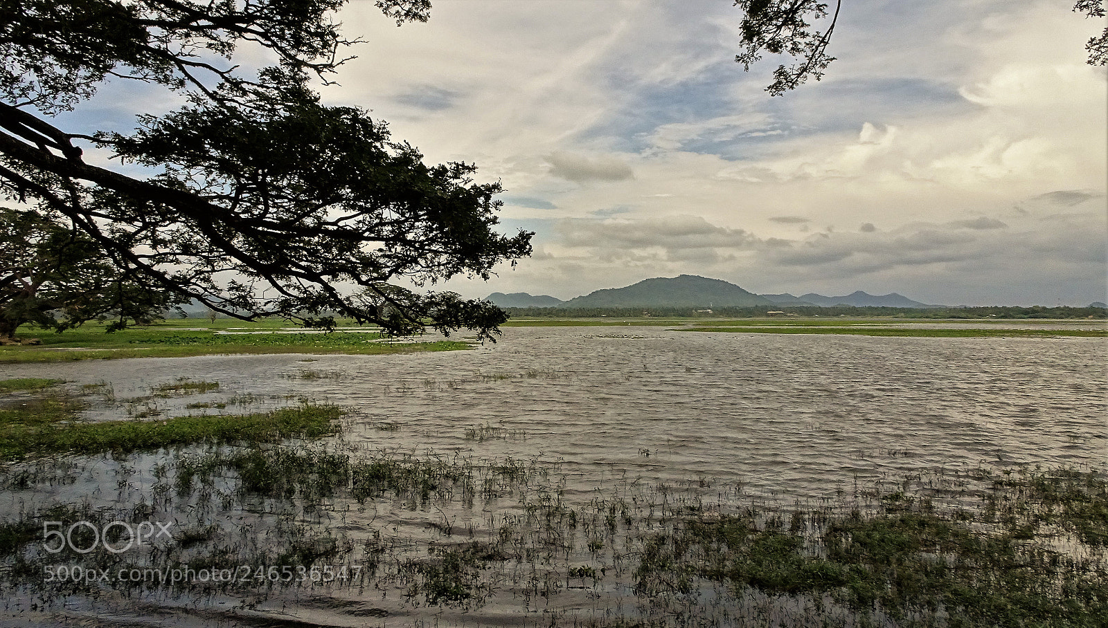 Sony Cyber-shot DSC-HX90V sample photo. Dsc photography