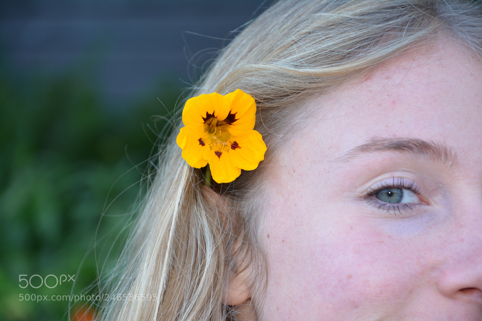 Nikon D5200 sample photo. Dsc photography
