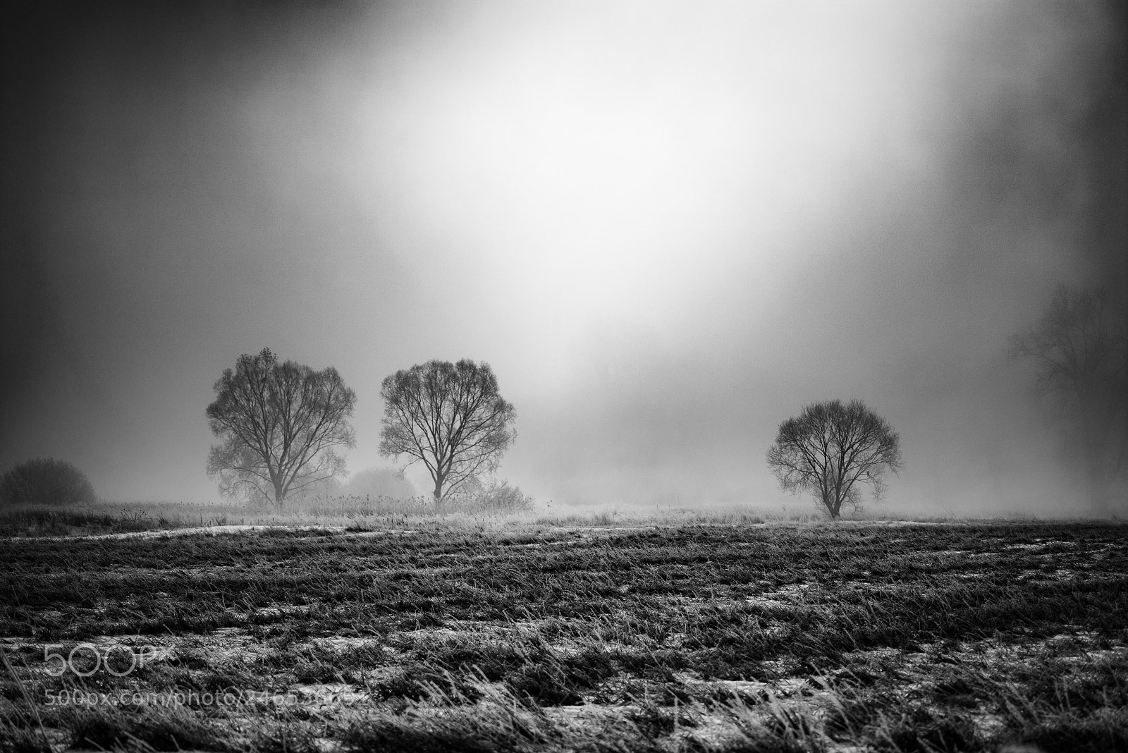 Nikon D800 sample photo. Roszkowo photography