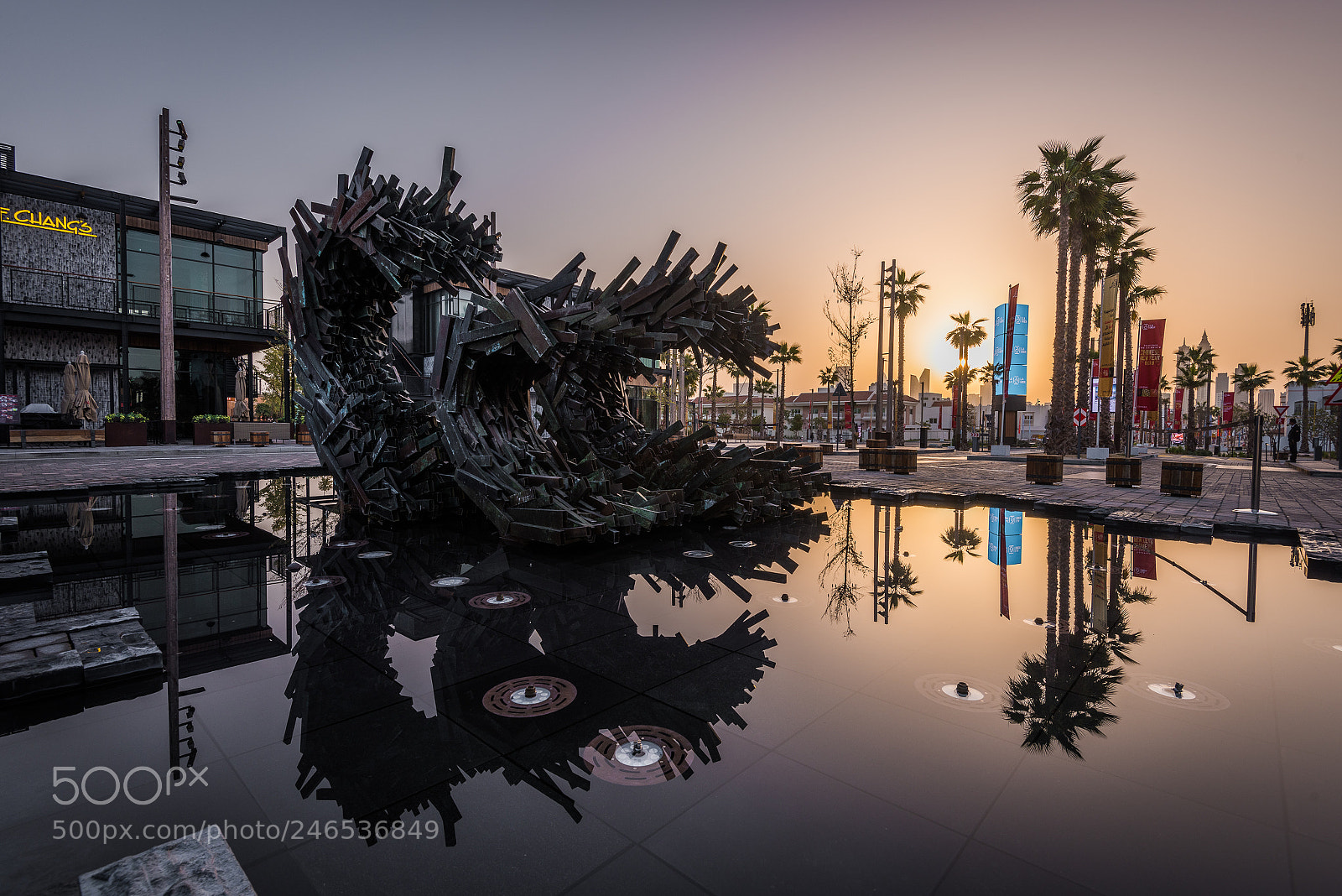 Nikon D810 sample photo. Grabbing the sun photography