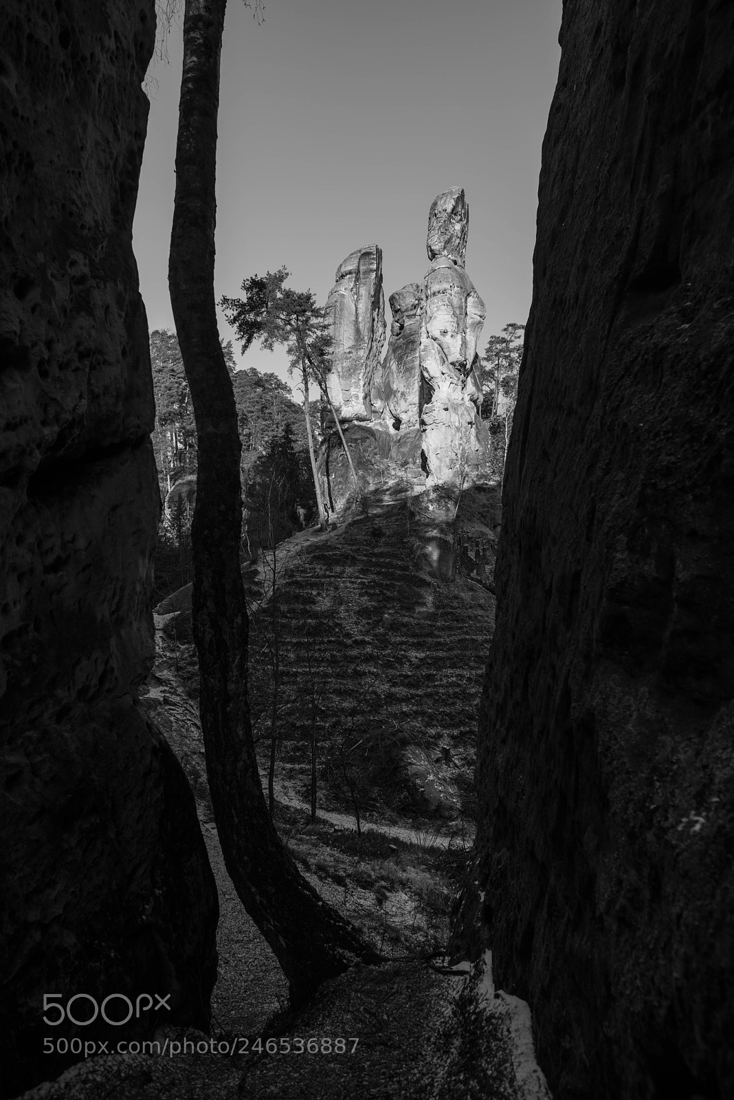 Nikon D810 sample photo. Rocks photography