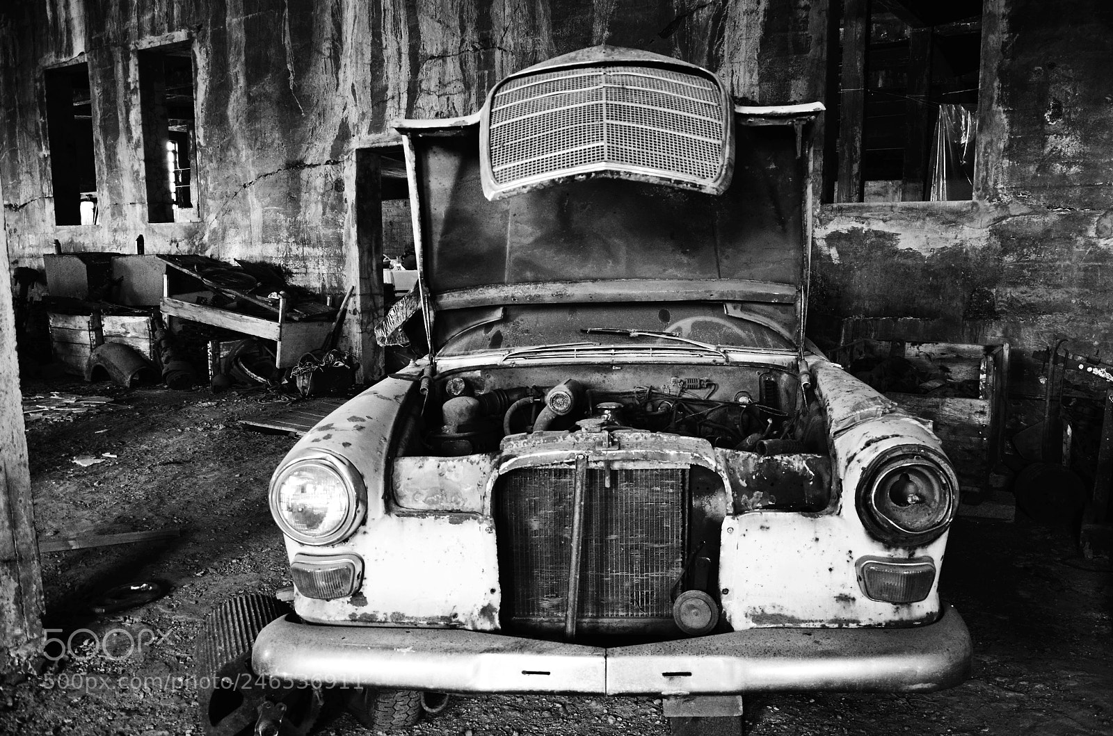 Nikon D5100 sample photo. ... photography