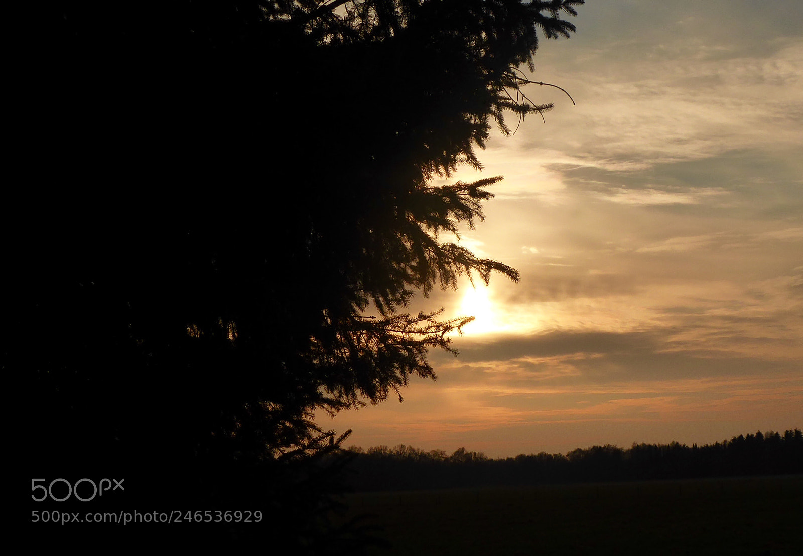 Panasonic DMC-TZ71 sample photo. Sonnenuntergang photography