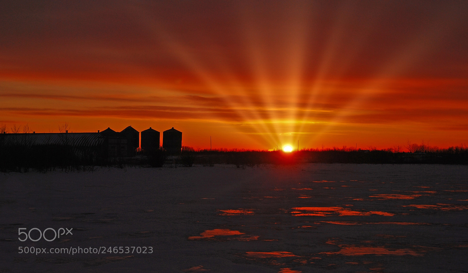 Nikon D80 sample photo. Prairie sunset photography