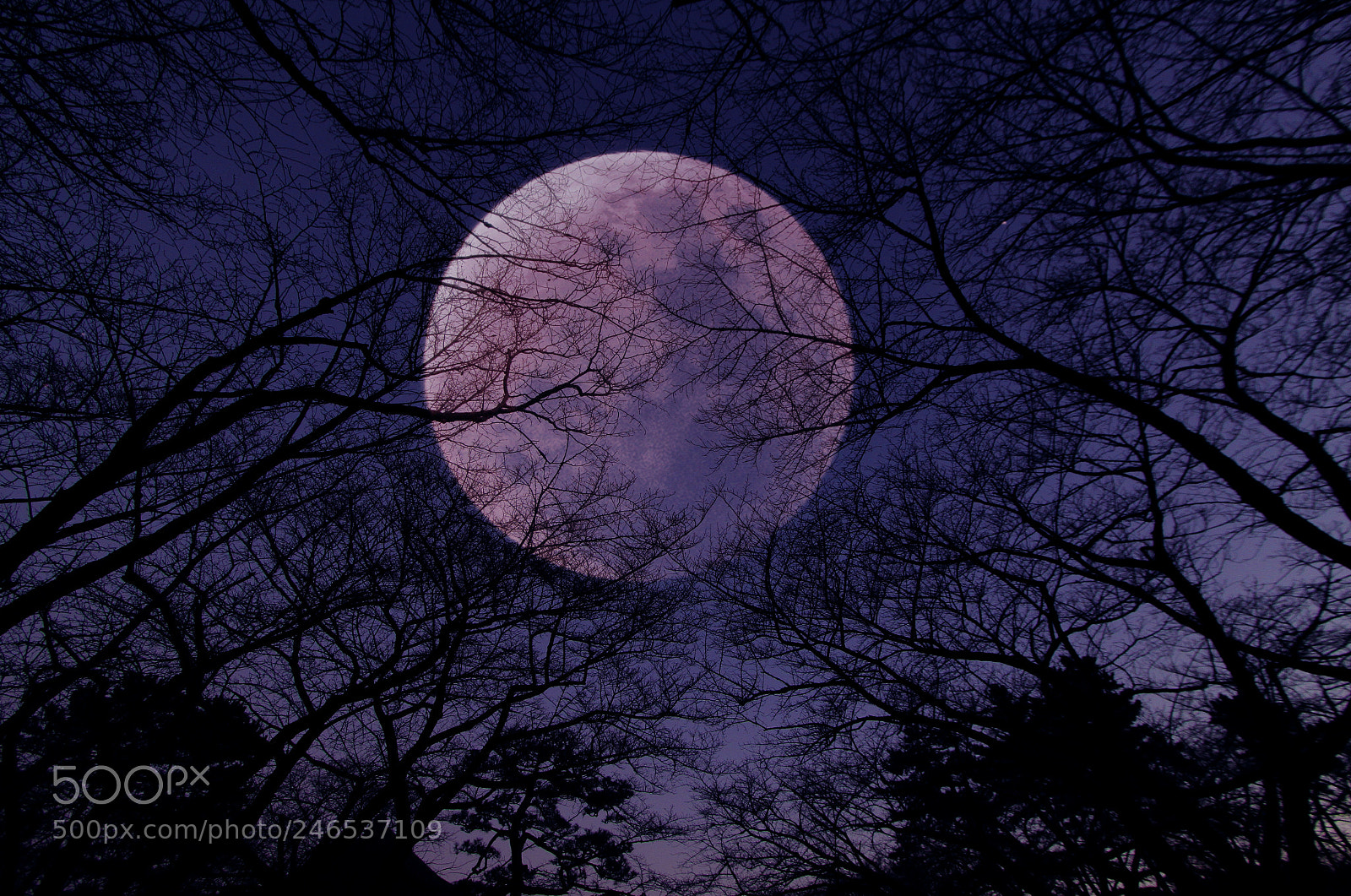 Canon EOS 7D sample photo. Silence photography