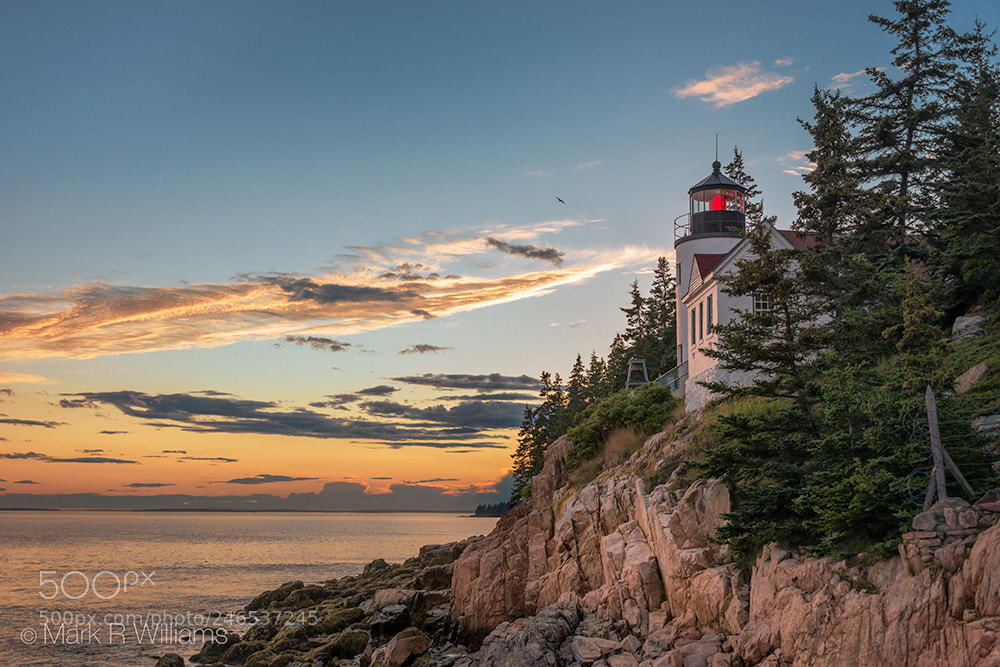 Nikon D800 sample photo. Bass harbor head lighthouse photography