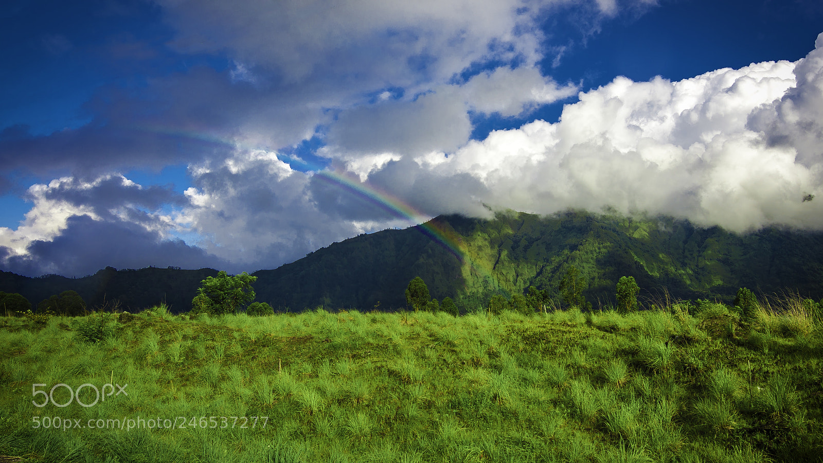 Nikon D7200 sample photo. Rainbow photography