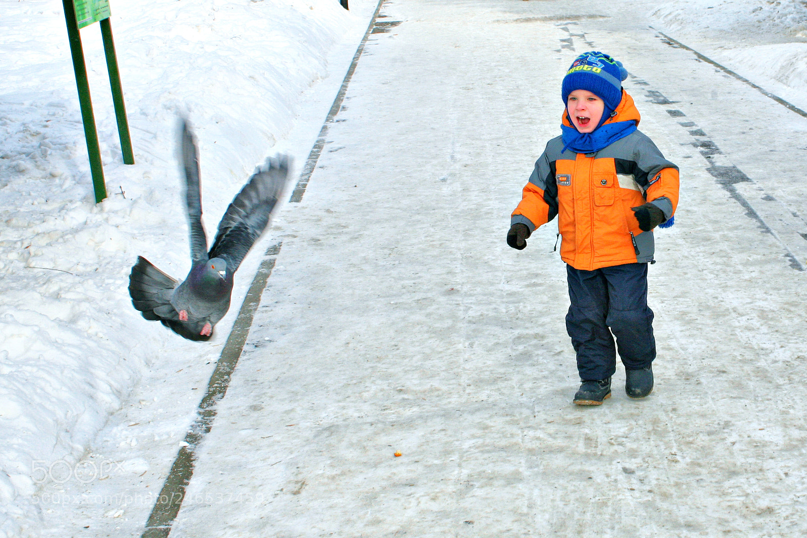 Canon EOS 5D sample photo. Do not fly away! photography