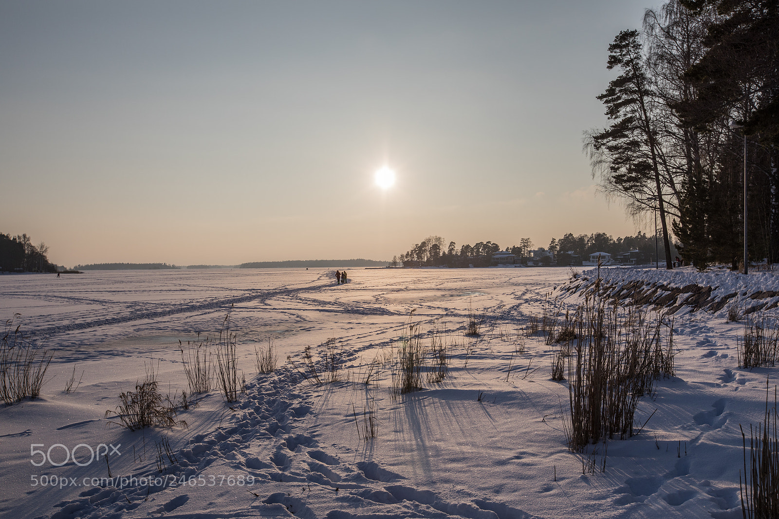 Canon EOS 5D Mark IV sample photo. Arctic sunset vi photography