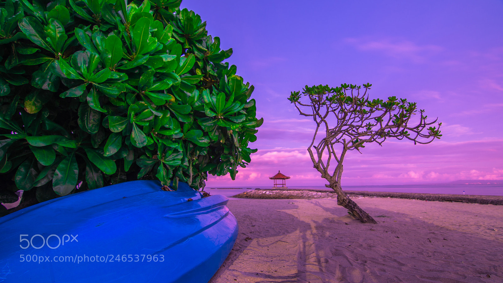 Nikon D7200 sample photo. The beach photography