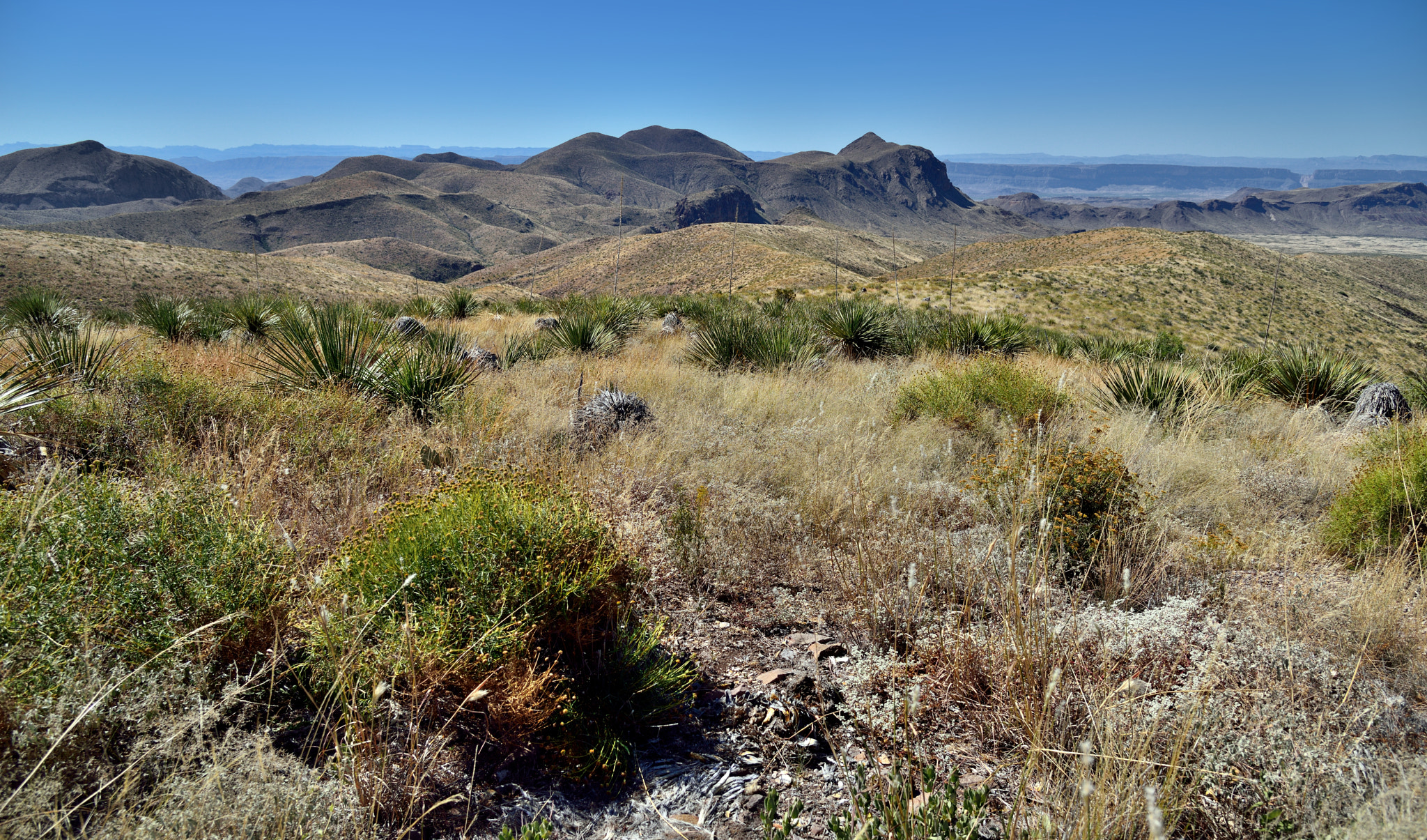 Nikon D800E sample photo. The rolling hillsides and landscape with a view to goat mountain photography