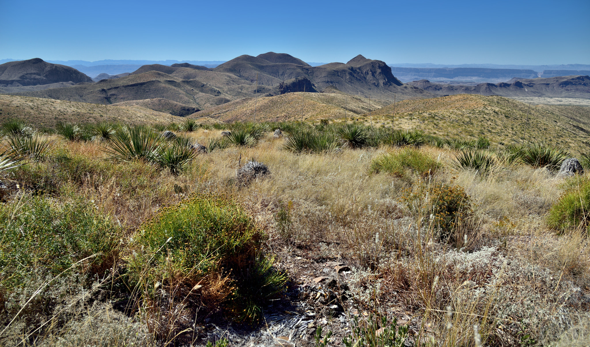 Nikon AF-S Nikkor 24-120mm F4G ED VR sample photo. The rolling hillsides and landscape with a view to goat mountain photography