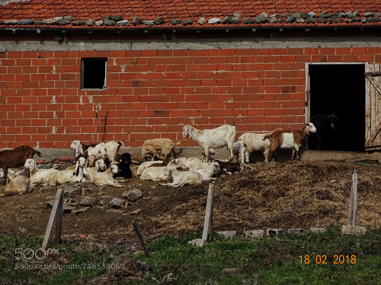 Sony Cyber-shot DSC-HX400V sample photo. So far photography