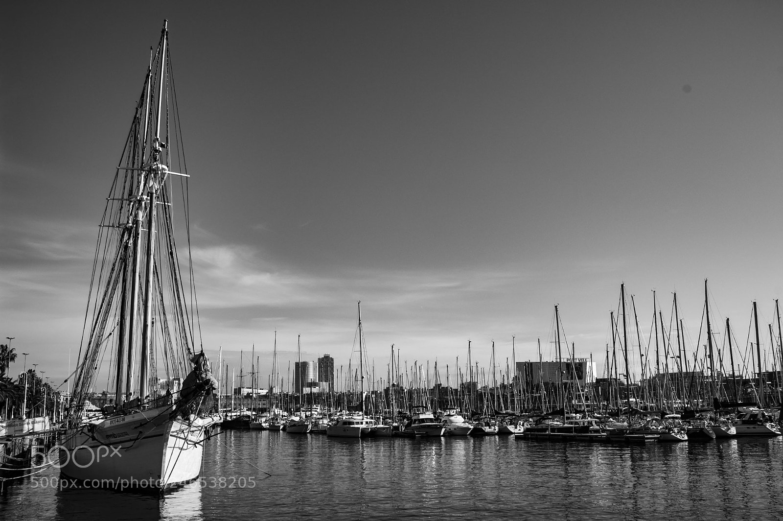 Nikon D40 sample photo. Harbor - black and photography
