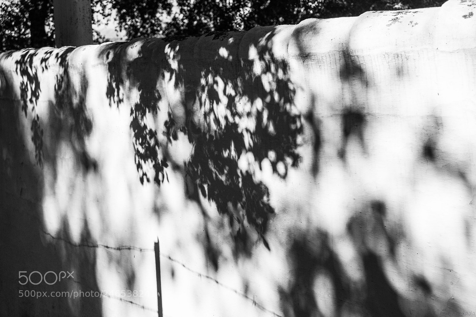 Fujifilm X-Pro2 sample photo. D nde est la photography