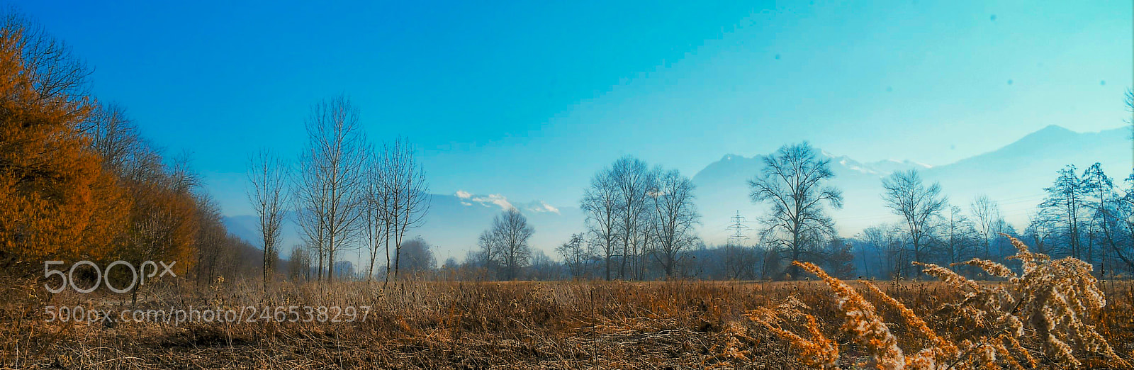 Nikon D500 sample photo. Nature photography