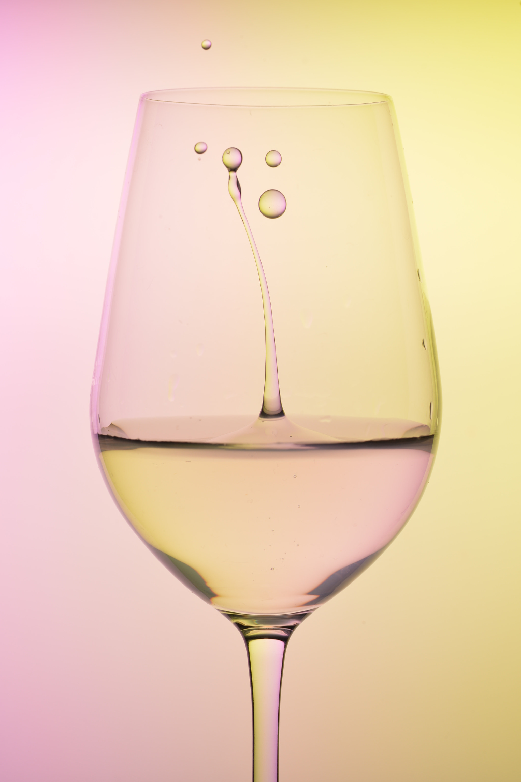 Sigma 105mm F2.8 EX DG Macro sample photo